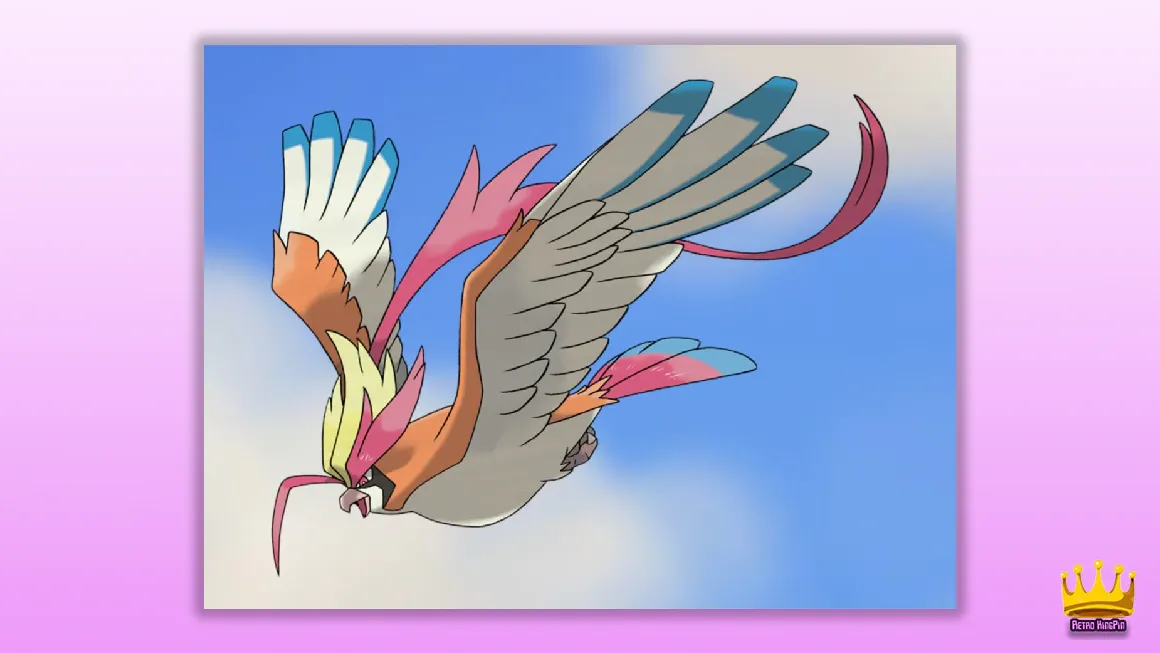 Best Bird Pokemon Of All Time Pidgeot