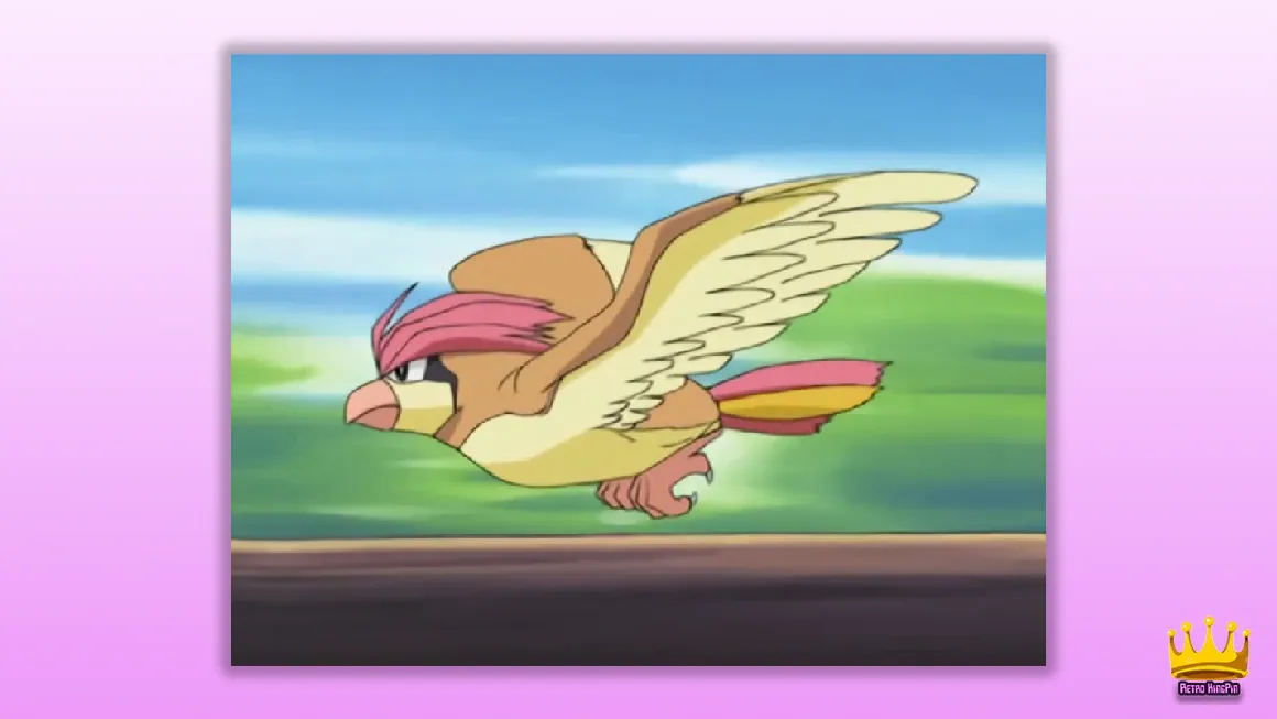 Best Bird Pokemon Of All Time Pidgeotto