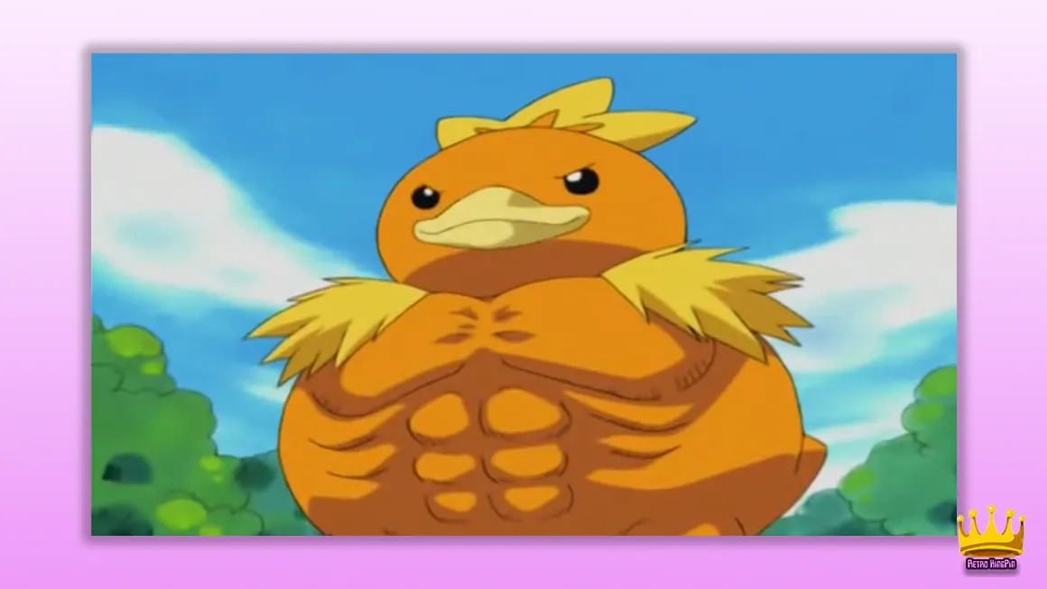 Best Bird Pokemon Of All Time Torchic