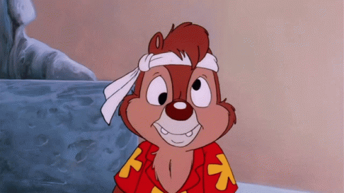 Best 80s Cartoons Chip 'n' Dale: Rescue Rangers gif